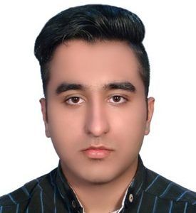 مهندس محمد امین محمدی البرزی
